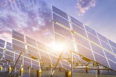 Les secteurs de l’énergie solaire et eolienne souffrent du retour de Trump au pouvoir.